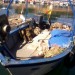 Palan bateau (bateau à moteur)