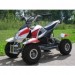 Motos Quad Electric ATV