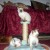 CHATON SIAMOIS - Image 2