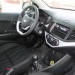 joli picanto