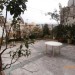 Alger Centre Telemly : loue une villa R+1