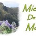 miel de montagne miel de montagne