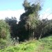 terrain ighil oubarwak
