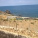terrains residentiel Viabilisé pied dans l?eau Tipaza larhat