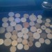 Pieces ancienne Monnaies