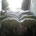 des mouton avendre