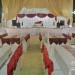 Décoration de salle des fétes et Mariages Alger-Blida