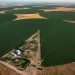 vends 3 pivot d?irrigation de 30 hectares chacun