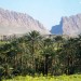 vente terrain agricole pour crédit Bancaire a biskra