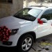 Location de Tiguans neufs pour cortège de mariage et autres avec chauffeurs à Alger et environs